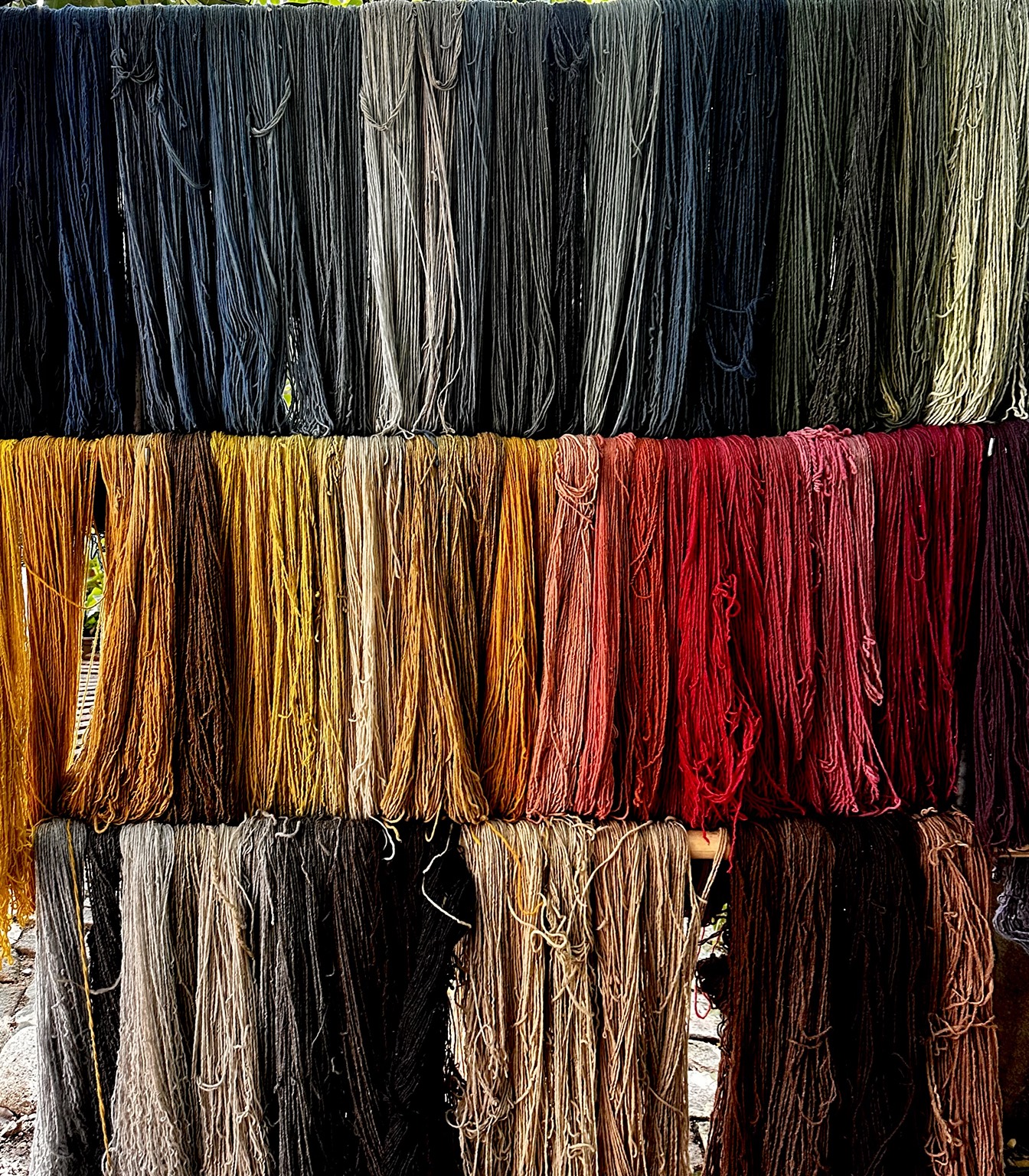 Rows of naturally dyed yarn