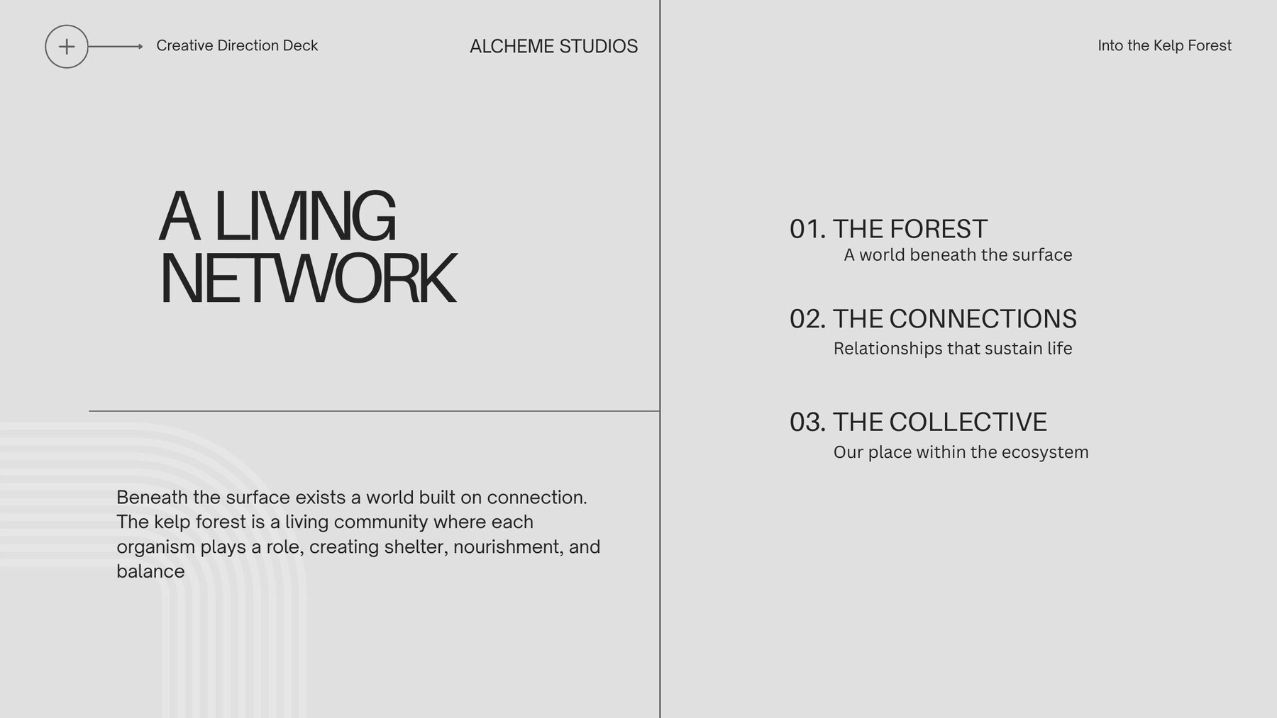 Creative direction deck page defining the forest, connections, and collective experience pillars