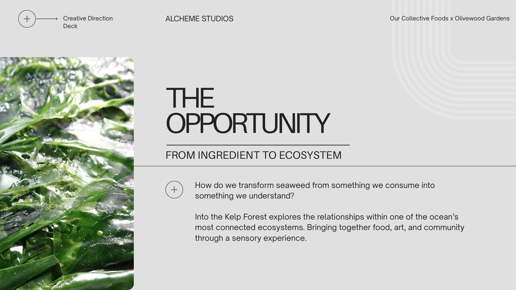 Creative direction deck page describing the shift from ingredient to ecosystem