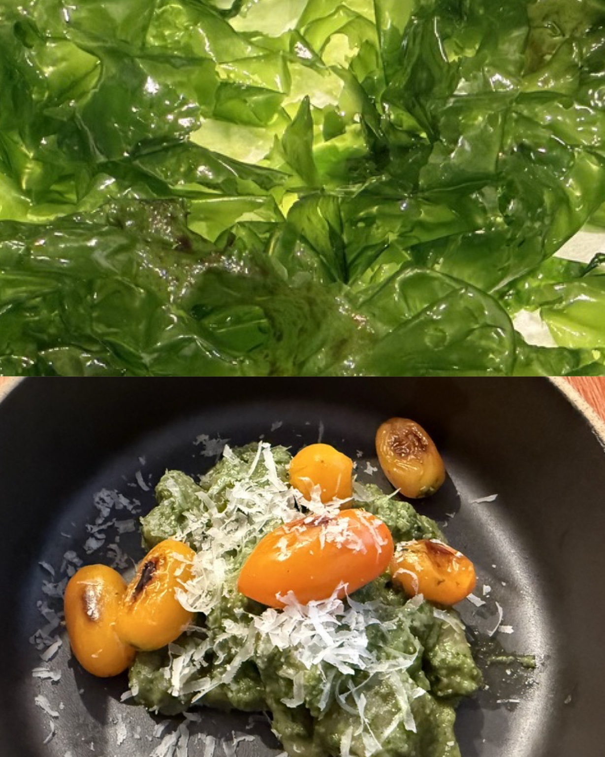 A diptych pairing vivid sea lettuce with a green garden course
